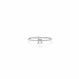 ANILLO INICIAL CALADA
